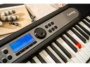 Casio Keyboard LK-S450