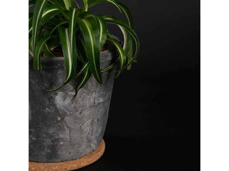 Esschert Design Topfuntersetzer L, 15 cm, Braun