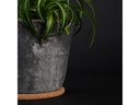Esschert Design Topfuntersetzer S, 10 cm, Braun
