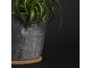 Esschert Design Topfuntersetzer S, 10 cm, Braun