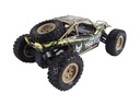 Amewi Buggy Desert Truck Max Fox RTR