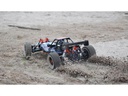 Amewi Buggy Pitbull X V5.2, 32ccm, 2WD 1:5, RTR