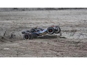 Amewi Buggy Pitbull X V5.2, 32ccm, 2WD 1:5, RTR