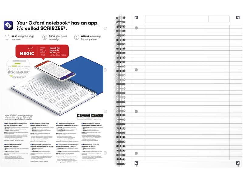 Oxford Notizbuch A4, liniert, Assortiert