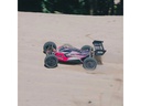 Arrma Buggy Typhoon TLR Tuned 4WD 1:8, Roller