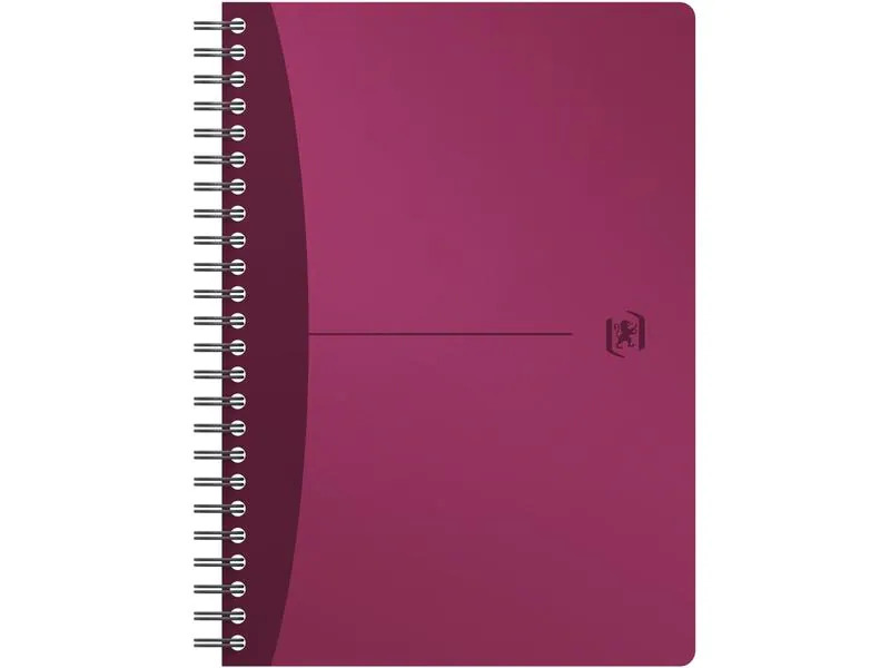 Oxford Notizbuch A5, kariert, Assortiert