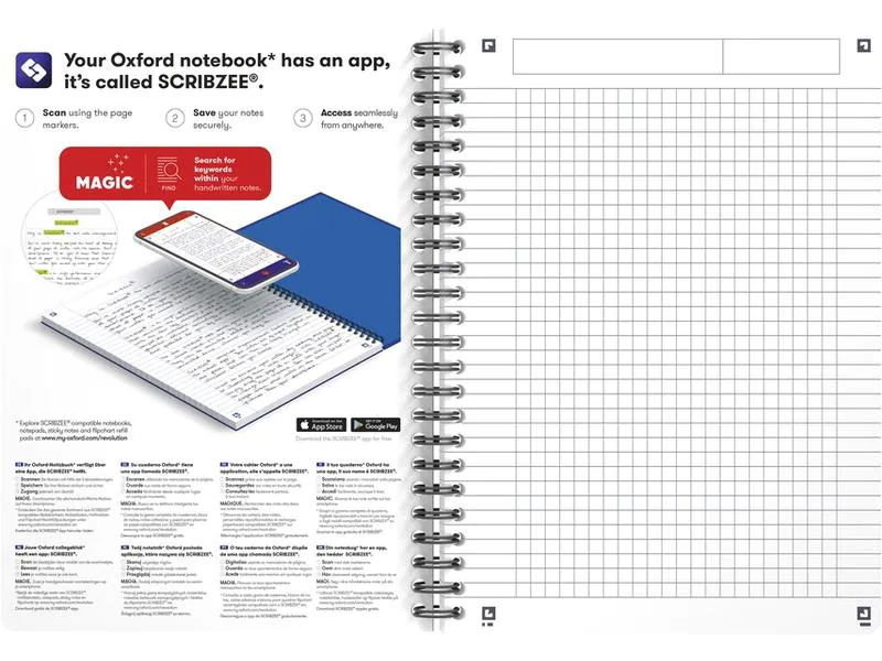 Oxford Notizbuch A5, kariert, Assortiert