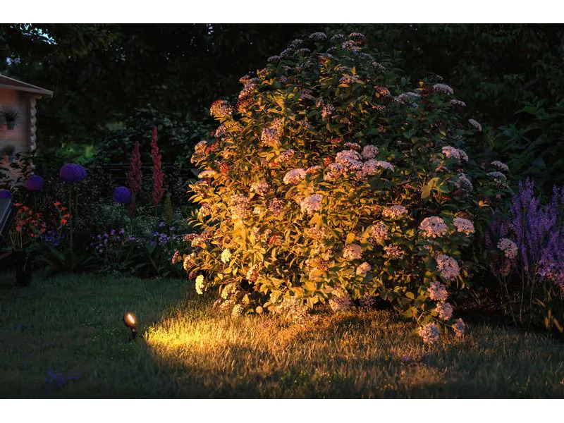 Paulmann Gartenspot Plug &amp; Shine, Sting, 6.3W, 2200K, Schwarz