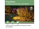Paulmann Gartenspot Plug &amp; Shine, Sting, 6.3W, 2200K, Schwarz