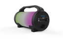 iDance Karaoke Cyclone 400