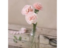 Creativ Company Bastelset Krepppapier-Set Nelken