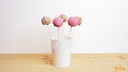 Decora Cake Pop Stäbe Weiss