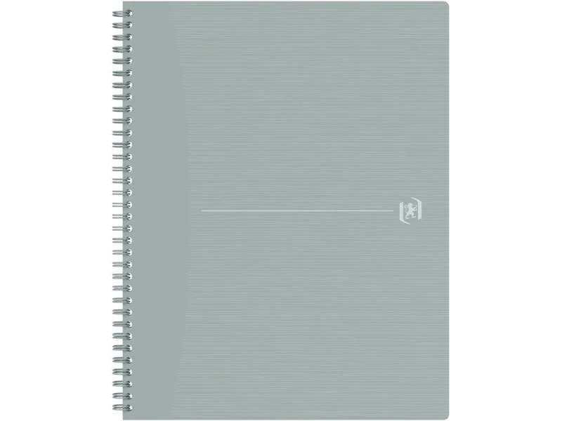 Oxford Notizbuch A4+, kariert, Hellgrau