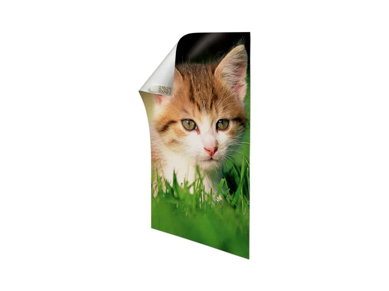 Command Klebepad Command Poster 15 mm x 0.05 m, Weiss
