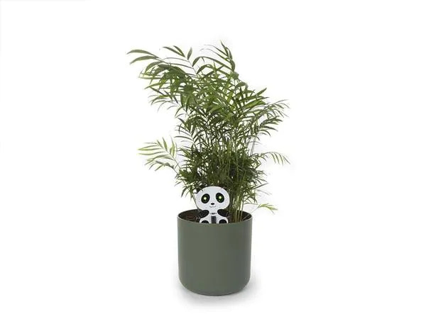 Whadda Bausatz Panda Pflanzen überwacher