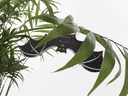 Whadda Bausatz SMD Fledermaus