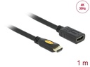 Delock Verlängerungskabel 4K 30Hz HDMI - HDMI, 1 m