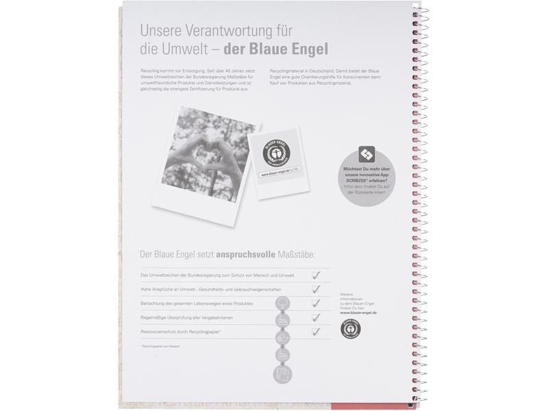 Oxford Notizbuch kariert, A4+, Rot