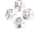 Oxford Schulheft A5, liniert, Boho Spirit assortiert