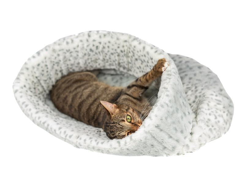 Nobby Kuschelsack Alanis, 45 cm
