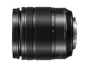 Panasonic Zoomobjektiv Lumix G 12-60mm f/3.5-5.6 OIS