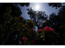 Sigma Zoomobjektiv 14-24mm f/2.8 DG DN Art SO