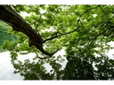 Sigma Zoomobjektiv 14-24mm f/2.8 DG DN Art SO