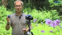 Dörr Objektiv-Adapter SLR 323021 Zwischenring