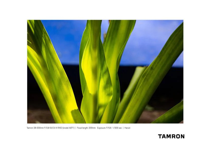 Tamron Zoomobjektiv AF 28-200mm f / 2.8-5.6 Di III RXD Sony FE