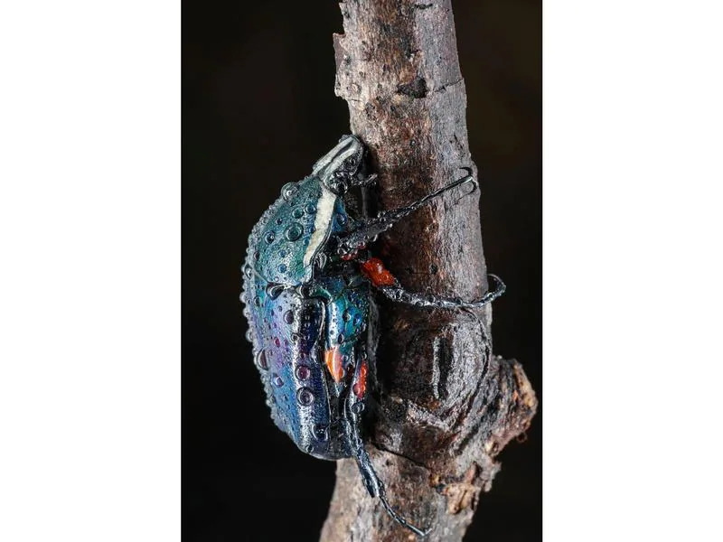 7Artisans Festbrennweite 60mm F/2.8 Mark II – Nikon Z