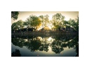7Artisans Festbrennweite 7.5mm F/2.8 Fisheye Mark II – MFT