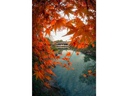 7Artisans Festbrennweite 7.5mm F/2.8 Fisheye Mark II – X-Mount