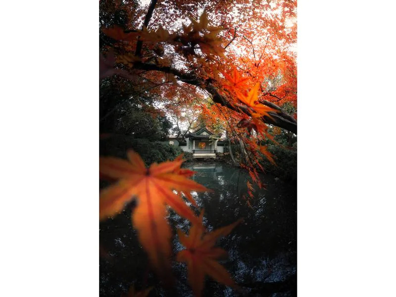 7Artisans Festbrennweite 7.5mm F/2.8 Fisheye Mark II – X-Mount