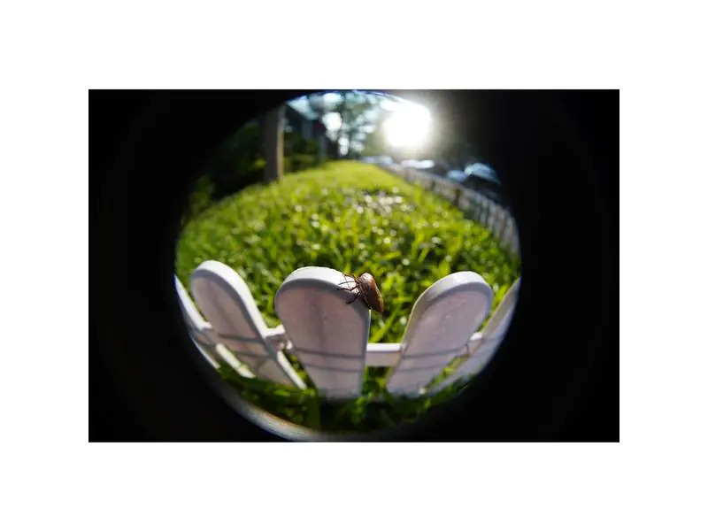 TTArtisan Festbrennweite 7.5 mm F2.0 Fisheye