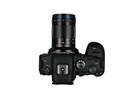 Venus Optic Festbrennweite Laowa 85 mm f/5.6 2X APO – Canon RF