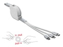 Delock USB 2.0-Kabel USB A – Lightning/Micro-USB B/USB C 0.82 m