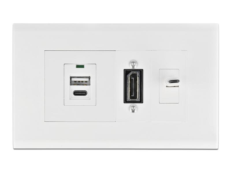 Delock Delock Easy 45 Modulträger für Geräteeinbaukanal 130 x 80 mm