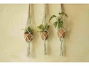 DMC Makramee-Set Mindful Making Hängepflanzen, 53 cm
