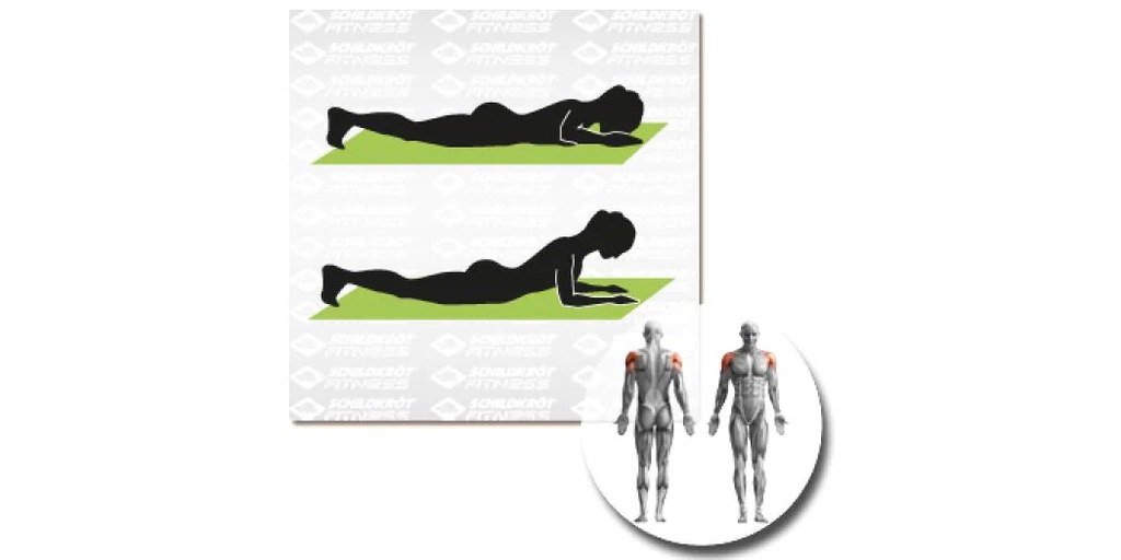 Schildkröt Fitness Fitnessmatte