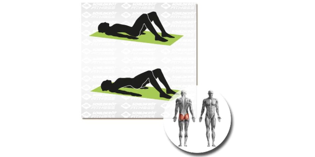 Schildkröt Fitness Fitnessmatte