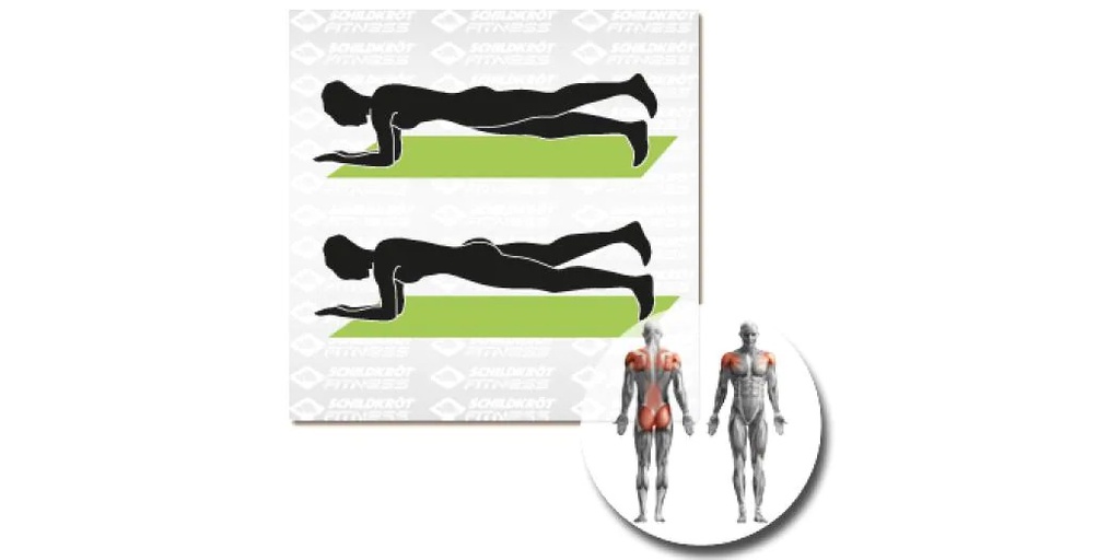 Schildkröt Fitness Fitnessmatte