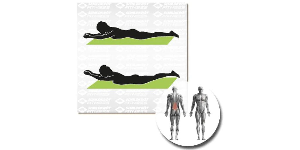 Schildkröt Fitness Fitnessmatte