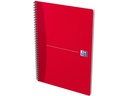 Oxford Notizbuch A4, kariert, Assortiert