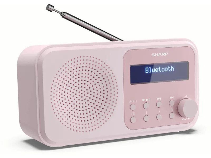Sharp DAB+ Radio DR-P420 – Pink