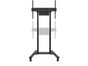Neomounts by NewStar TV-Trolley FL55-875BL1 Schwarz