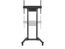 Neomounts by NewStar TV-Trolley FL55-875BL1 Schwarz