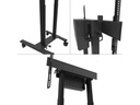 Neomounts by NewStar TV-Trolley FL55-875BL1 Schwarz