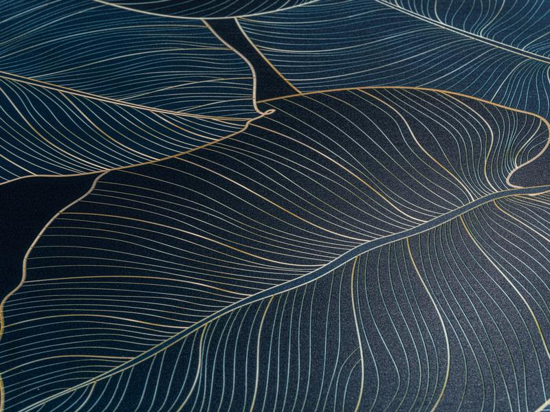 Wenko Toilettensitz Big Leaves Absenkautomatik, Blau/Grün