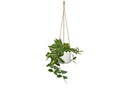 scheurich Blumenampel Cottage 16.6 cm, Weiss