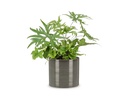 scheurich Blumentopf Glass 28 cm, Grau